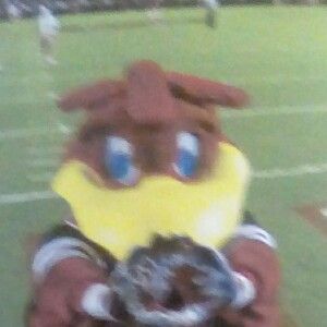 Profile Picture of elibrewer (@@elibrewer) on Tiktok