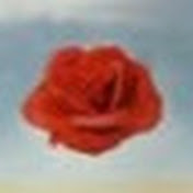 Profile Picture of Isabel Saez (@chisapez) on Youtube