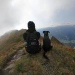 Profile Picture of Valentina Alice (@_feelfree_alice) on Instagram