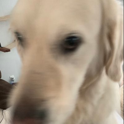 Profile Picture of Travis Dilley (@TravisDilley2) on Twitter