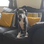 Profile Picture of Paul Roffey (@roffey.paul) on Instagram