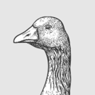 Profile Picture of Bo (@boliu0) on Twitter