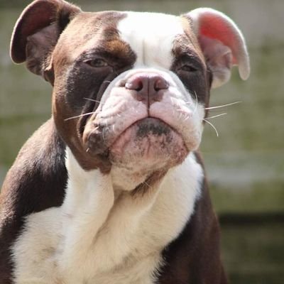 Profile Picture of Hayley Britton (@hayleybritton6) on Twitter