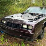 Profile Picture of Trevor Walters (@Trevor-Walters) on Facebook