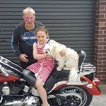 Profile Picture of Steven Mcardle (@stevemaddog.2014) on Instagram