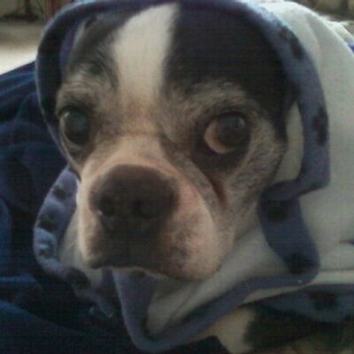 Profile Picture of Scott Reno (@scottreno5) on Twitter