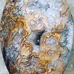 Profile Picture of David Fiattarone (@organic_relics) on Instagram