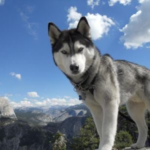 Profile Picture of Peter (@PeterBuchner) on Twitter