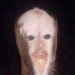 Profile Picture of Benjamin Katia (@ddg_ome_fem_gay) on Instagram