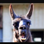 Profile Picture of adam garside (@sidiotic1234) on Instagram