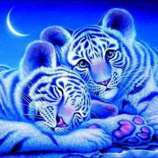 Profile Picture of Max Anastasio (@max.anastasio.73) on Facebook