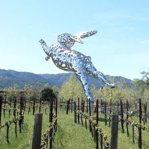 Profile Picture of Anne Andrews (@aandrewsnovels) on Twitter