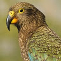 Profile Picture of Joya Davies (@joya-davies) on Quora