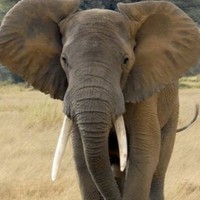 Profile Picture of Heidi Schuster (@heidi-schuster-3) on Quora