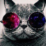 Profile Picture of gavin steiner (@gavinpoo_192) on Instagram