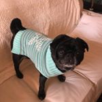 Profile Picture of Julianne Blandford (@regencyrust) on Instagram