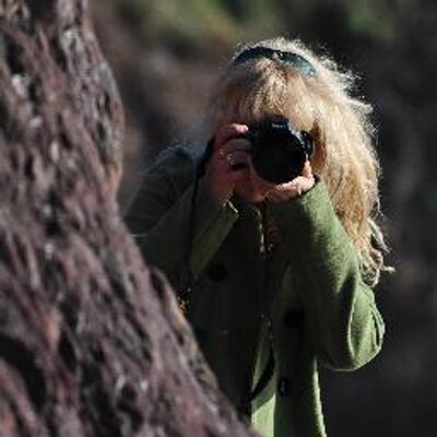 Profile Picture of Barbara Walsh (@babsyphotograpy) on Twitter