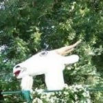 Weronika Hańczyc - Instagram Profile Picture of Weronika Hańczyc (@weronikahanczyc) on Instagram