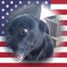 Profile Picture of Ralph E Moore (@ralphe.moore.96) on Facebook