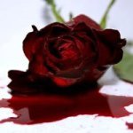 Profile Picture of Paula Geringer (@paulageringer) on Instagram