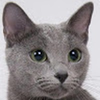 Profile Picture of Giuseppe Cascio (@giuseppe-cascio-7) on Quora