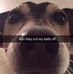 Profile Picture of Michael Perrotti (@michael.perrotti.14) on Facebook