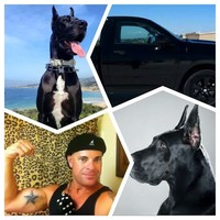 Profile Picture of Jeff Conte (@jeff-conte-1) on Quora
