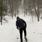 Profile Picture of Alex P (@_alexpaine) on Instagram