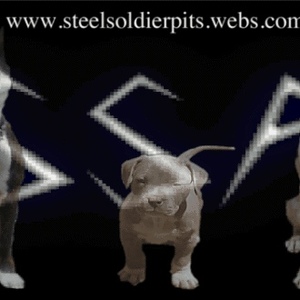 Profile Picture of Akeem Boone (@316582565) on Myspace