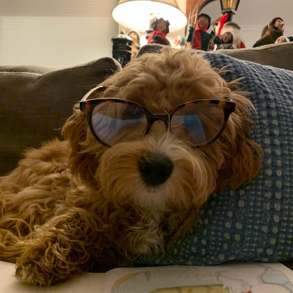 Tara Kaszynski - Poshmark Profile Picture of Tara Kaszynski (@tarakaszynski) on Poshmark