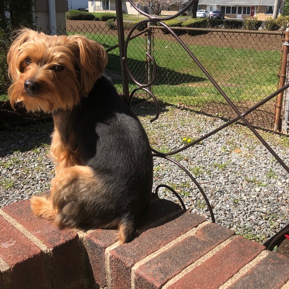 Profile Picture of Bu Blinka (@bublinka21) on Poshmark