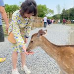 Shelly Huang - Instagram Profile Picture of Shelly Huang (@shelly.9762) on Instagram