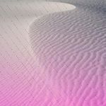 Profile Picture of Leonardo Zimmermann (@carliewagner313) on Instagram