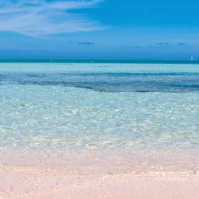 Kristie Sells - Twitter Profile Picture of Kristie Sells (@SellsScotty) on Twitter