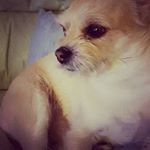 Profile Picture of Lewis Nguyen (@xl_.yen) on Instagram