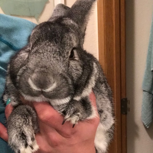 Profile Picture of Eva Rivas (@kary20mx) on Poshmark