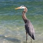 Profile Picture of Claudia Dünner (@claudiadunner) on Instagram