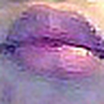 Profile Picture of Faifua (@faifua) on Flickr