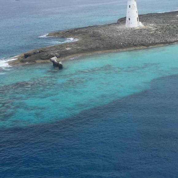 Profile Picture of Kim Seligman (@kimdilday49) on Poshmark