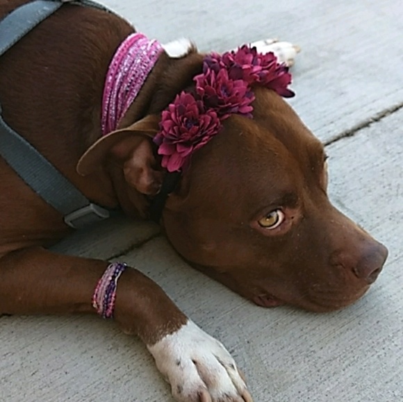 Profile Picture of Kimi Aoki (@kimiii__) on Poshmark