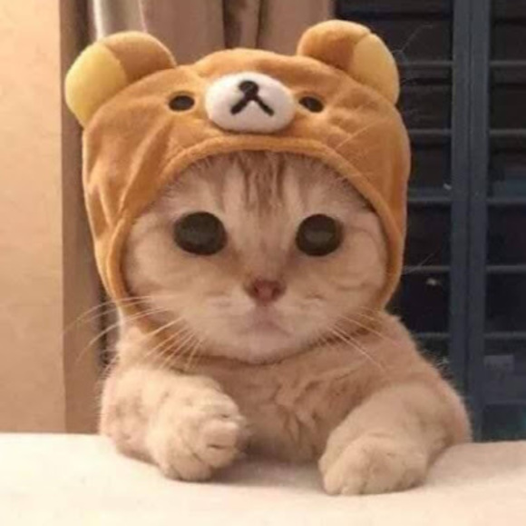 Profile Picture of Alex Macaraig (@xelax3la) on Poshmark