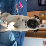 Profile Picture of Dave Helbig (@dave.helbig.10) on Facebook