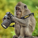 Profile Picture of Craig Mcskimming (@jc_mac7211) on Flickr