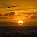 Profile Picture of Matthew Zucker (@matthew.zucker.716) on Facebook