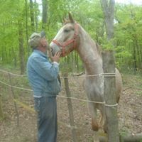 Profile Picture of Linda Wilkerson (@linda-wilkerson-9) on Quora