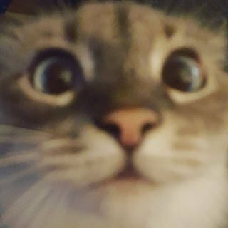 Profile Picture of Ben Haskins (@ben.haskins.731) on Facebook