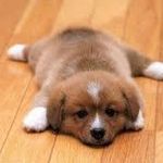 Profile Picture of Jason Lollis (@jasomitor) on Instagram