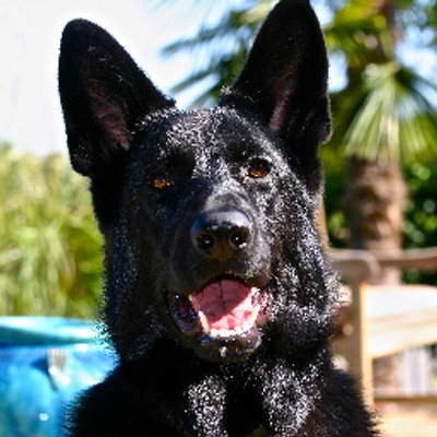 Profile Picture of Mitzi Jones (@MitziJones13) on Twitter