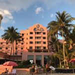 Profile Picture of カパークーカイイニヌイハア (@kapakukaiininuihaa) on Instagram