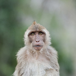 Profile Picture of Edvardas Zabaltys (@minskas) on Flickr